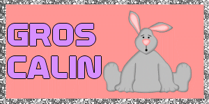 Gif gros câlins lapins